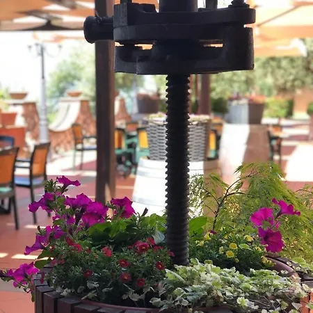 Belsito 酒店 Serrone